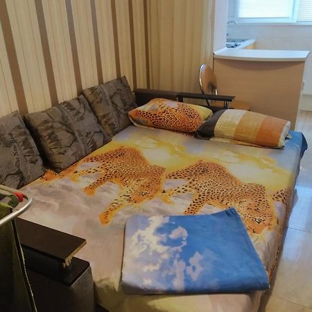 Ferienwohnung Солнечная Charkiw Exterior foto